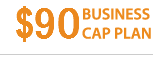 99 Business Cap Plan